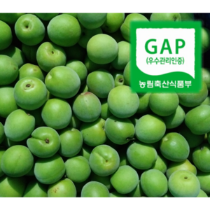 나영이네 농장 하동매실, 1박스, 청매실 10kg 왕특(1번과)
