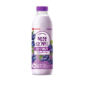 마시는 요구르트 서울우유 블루베리의 상큼함 750ml, 2개