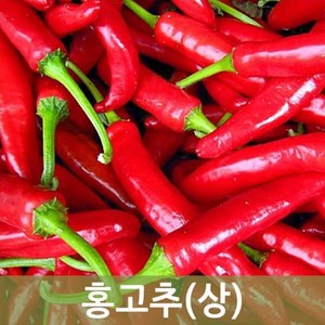 국산 홍고추 1박스1kg 5kg 10kg 건고추용 물고추 빨간홍고추 두리반농산, 홍고추 1kg