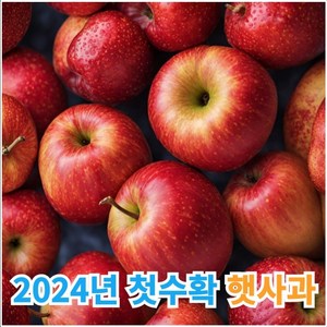 껍찔째 먹는 천연과즙 팡팡 안동 청송 가정용 꿀사과, 1개, 9kg내외