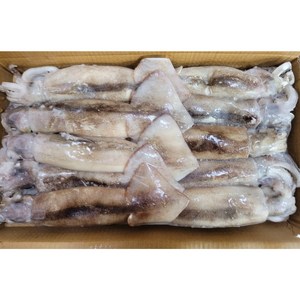 [미쓰리푸드마켓]오징어 베이트 육동 3KG 9-11마리 수입 통오징어 업소용 마트용, 1개