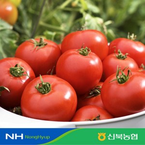 [신북농협 Pick!] 탱글탱글 완숙토마토 3kg 5kg, 1박스, 완숙토마토 5kg 3-4번과