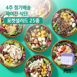포켓샐러드 4주 샐러드 정기배송/ 짜여진 식단/ 매일 다른 샐러드로 다양하고 맛있는 식단 관리, 250g, 20개