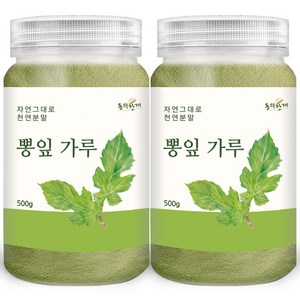 동의한재 국산 뽕잎 가루 분말, 500g, 2개