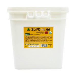 대산푸드 명이나물 산마늘 절임 장아찌, 10kg, 1개