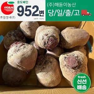 해돋이농산 제주 레드비트 비트 5kg 10kg내외, 1박스