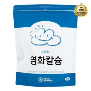 소다스쿨 염화칼슘 리필, 3kg, 2개