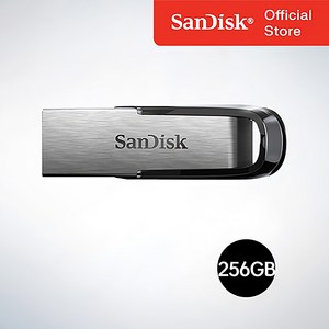 샌디스크코리아 공식인증정품 USB 메모리 Ultra Flair 울트라 플레어 USB 3.0 CZ73, 256GB, 1개