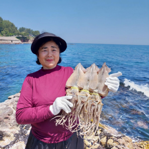 오징어엄마 원양산 마른오징어 건오징어 건조오징어, 1개, 마른 [대] 10마리 750g