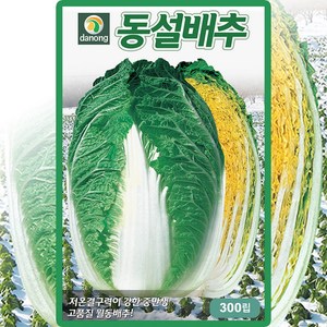 다농 동설배추 씨앗 300립 월동 배추 씨 종자, 1개