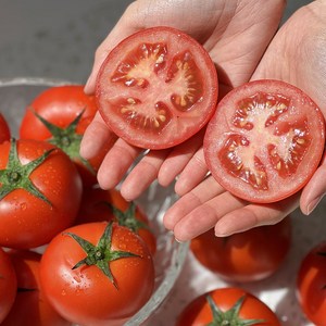 [당일직송] 새벽경매 완숙 토마토 특품 대과, 1박스, 3kg(대과)