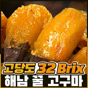 [해남직송] 달콤한 꿀 고구마 밤 호박, 특상 5kg, 1개