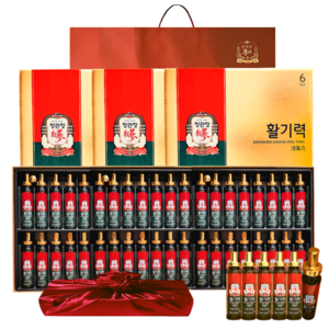 정관장 6년근 홍삼정 활기력 48세트(홍삼농축액 비타민함량) 960ml+쇼핑백 골프 여행 부모님 명절 선물세트(보자기포함) 1개, 960ml, 1세트