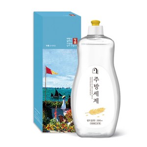 오늘의쉼표 세제 선물세트 답례품 생필품 5호 (주방세제 용기 300ml), 1개