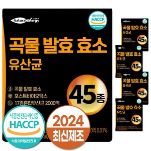 자연속 하루 효소 곡물 발효 효소 유산균 45종, 90g, 5개