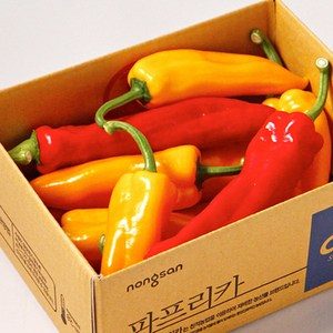 전북 김제 오아로 트리벨리 고당도 파프리카, 트리벨리 1.5kg, 1박스