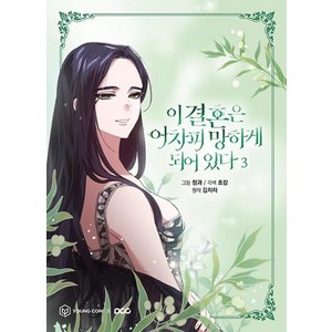 이 결혼은 어차피 망하게 되어 있다 3, 김차차, 영컴