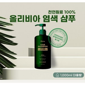 샴푸로염색하세요 올리비아염색샴푸(다크브라운칼라)1000ml 대용랑, 1개, 1L