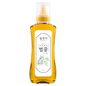 [꿀천지] 아카시아꿀 벌꿀, 1개, 300g