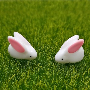 비오스 하얀 토끼 2P 테라리움 재료