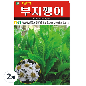 세인화분 부지깽이 100립 - 국산 씨 씨앗 섬쑥부쟁이 쑥부쟁이, 2개