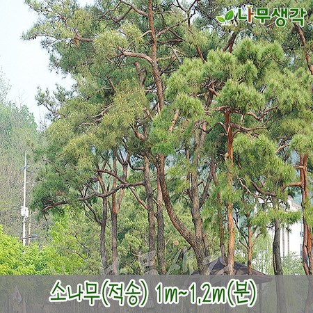 ef4614693ac4618d92748bc836b383c48dc089bc40077cfaf6aaa46286f1.jpg