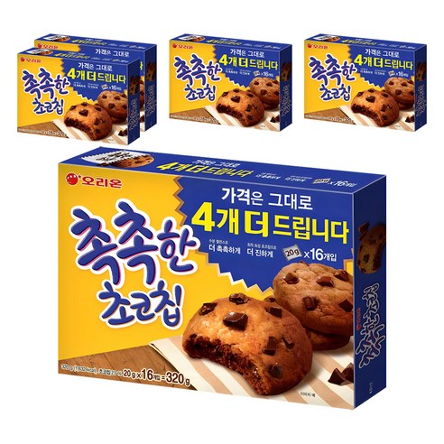 촉촉한초코칩