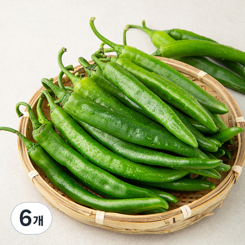 국내산 오이맛 고추