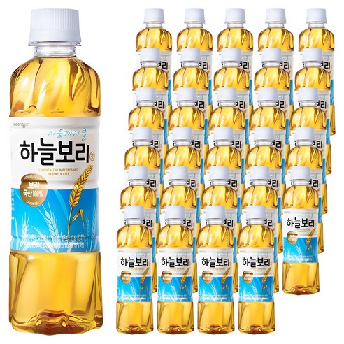 하늘보리