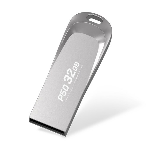 PLEIGO USB 메모리 P50, 32GB, 1개