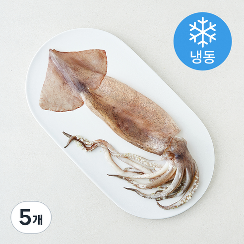 [로켓프레시] 오바다 원양산 통오징어 (냉동)