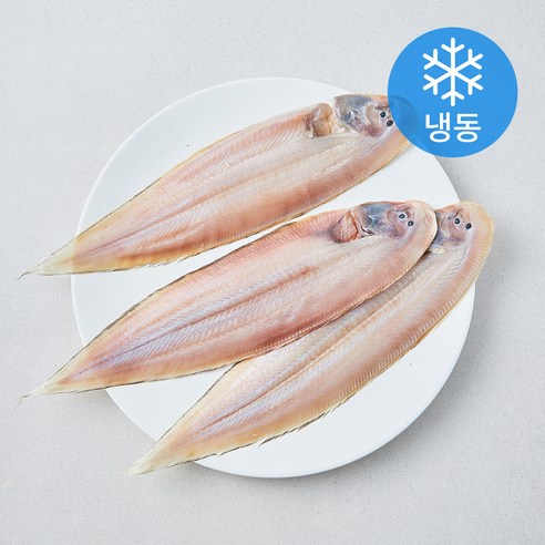 [로켓프레시] 영광법성포 반건조 박대 3미 (냉동)