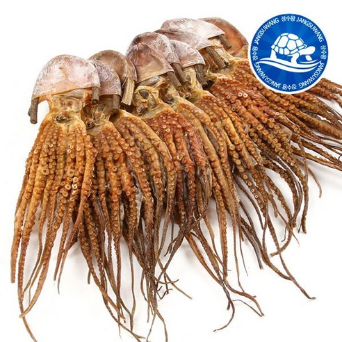 장수왕 피문어 (중 35-40cm) 5마리 /말린 문어 제수용 약문어 건문어