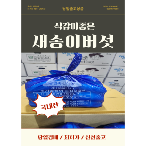 당일경매 국내산 새송이버섯 신선한 버섯 경매후바로발송 구이용 볶음용 가정용, 1개, 상2kg