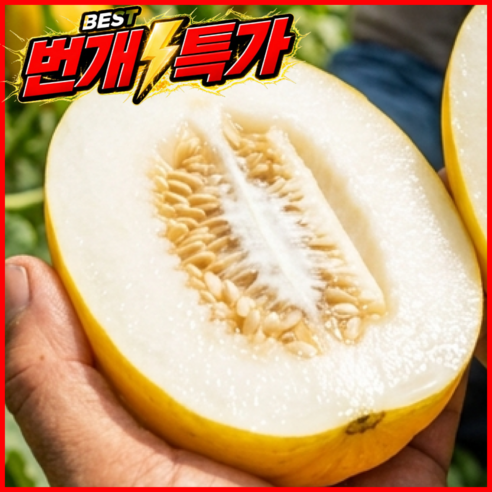 [한정초특가] 고당도선별품 Premium 들품담 성주참외