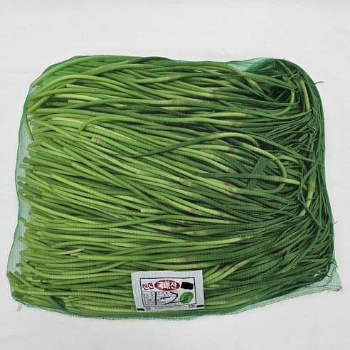 클릭마켓 26년 햇 마늘쫑 국내산 마늘종, 1개, 5kg
