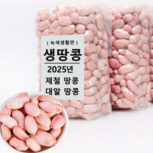 2025년 중국산생땅콩수입생땅콩 대알 땅콩