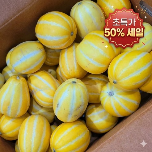 [초특가] 산지직송 못난이 성주 꿀 참외