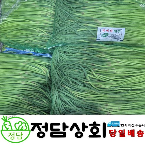 [ 정담상회 ] 국내산 햇 마늘쫑 마늘종 500g, 1kg, 2kg, 3kg, 5kg 내외, 1박스, 10kg