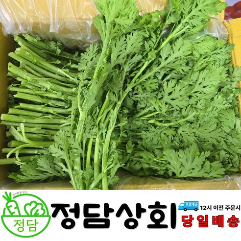 [ 정담상회 ] 국내산 쑥갓 1kg , 2kg , 4kg 신선