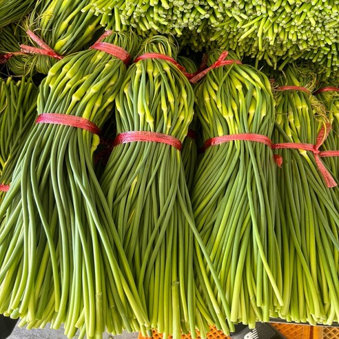 늘푸른농산 산지직송 마늘종 남해 햇 마늘쫑, 1박스, 2kg(상품)