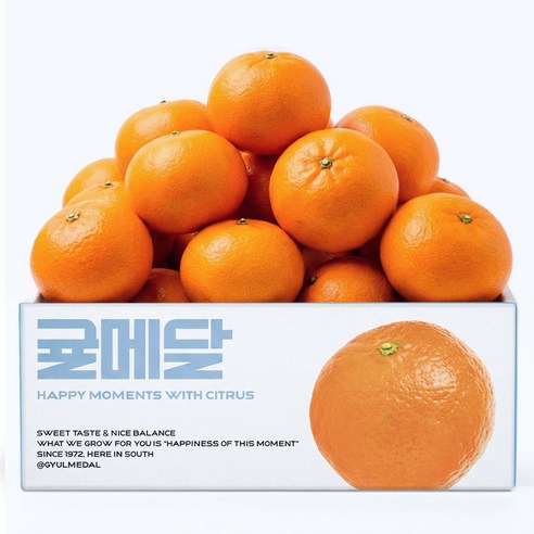 [15브릭스 산지직송] 제주 천혜향 당도선별 귤메달 천헤양 천헤향 천해양 천해향, 1박스, 중과 3kg