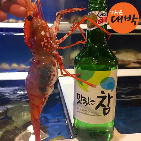더대박 살아있는 활 독도 도화새우 독도새우