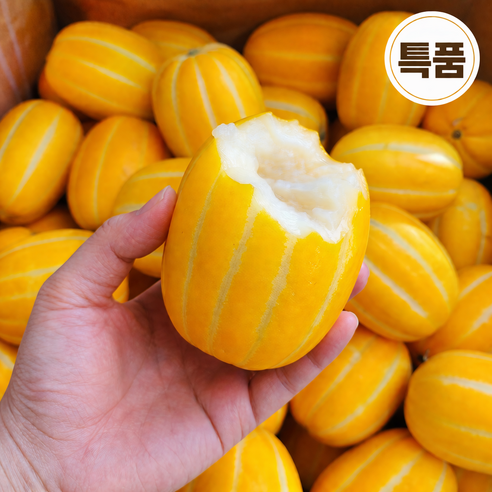 고당도 성주 참외 특품 로얄과 꿀당도 선별 산지직송