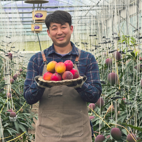 [한정수량 추가할인] 특품선별 제주애플망고