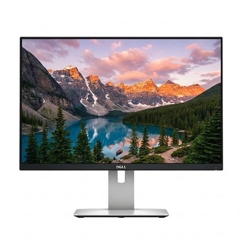 DeLL U2415 모니터 24인치 화면 FHD IPS HDMI DP 지원, U2415, 61.1cm
