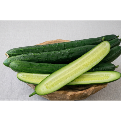 (당일경매) (당일발송) 아삭한 국내산 취청오이 (청오이), 1개, 3kg