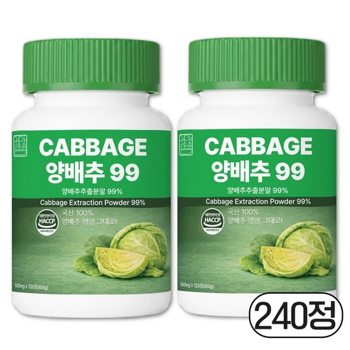 영양별곡 양배추 정 99%