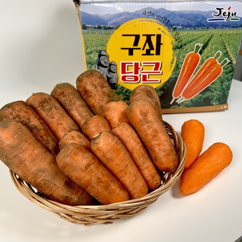 당일발송 제주 구좌 첫수확 국내산 햇 흙당근