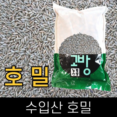 고방 . 수입 . 호밀 . 5kg . 2025년산 . 무료배송 . 고방 무료배송제품 2개이상 주문시 차증 잡곡 증정